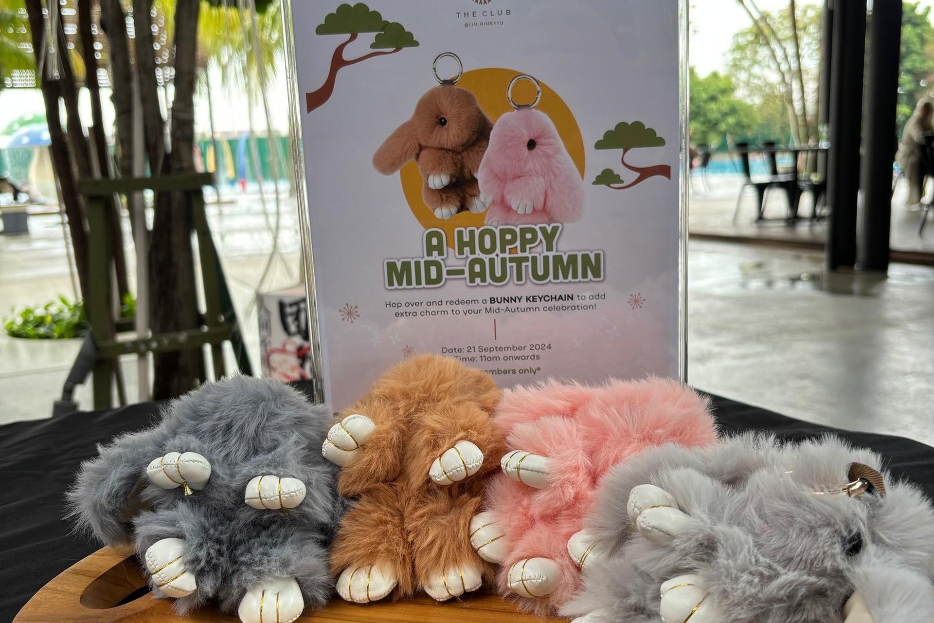 Mid Autumn Giveaway 2024